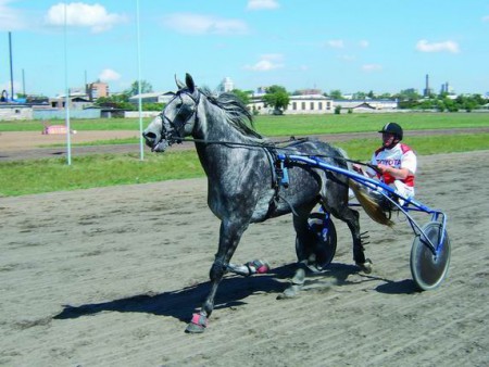 Фото рысачьих бегов