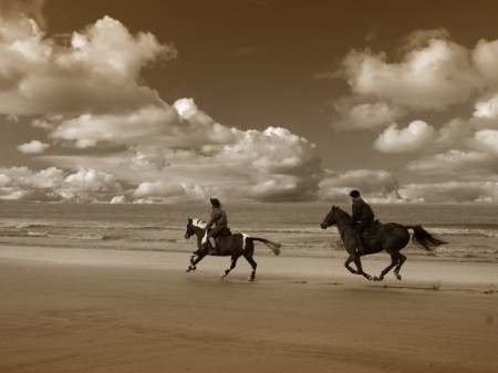 Фото двух всадников