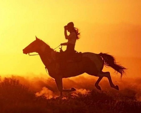 Фото лошади м всадницы на закате