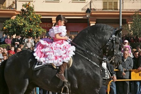 Фото девочки верхом на лошади вороной масти