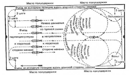 Схема одиночной манежной езды.