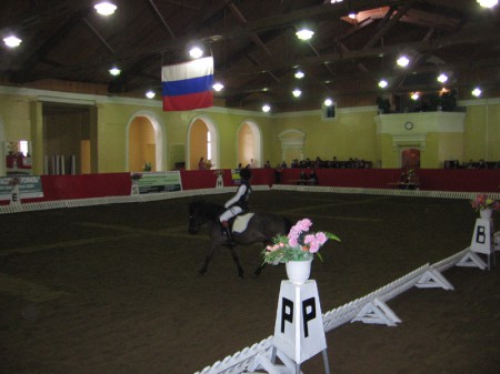 Фото манежной езды