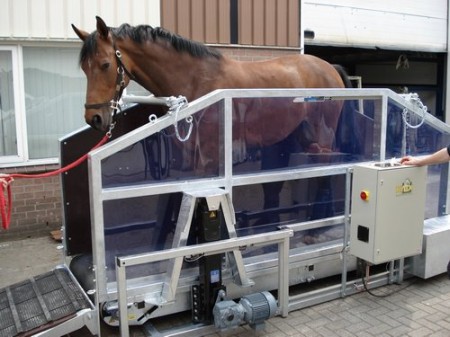 Беговая дорожка для лошади