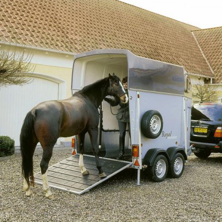 Погрузка лошади в прицеп