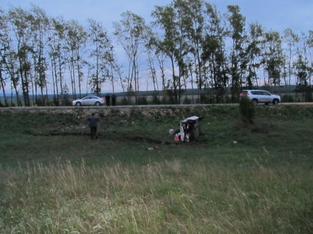 В Башкирии автомобиль «Ока» налетел на лошадь. Два человека погибли