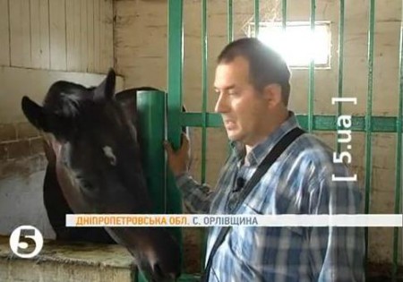 В Днепропетровской области лошадей морят голодом? (видео)