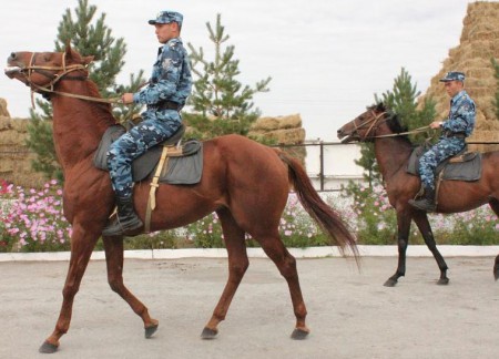 Кавалерийский взвод батальона патрульной полиции УВД города Костаная полностью обновил поголовье коней