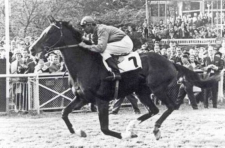 Фото Анилина