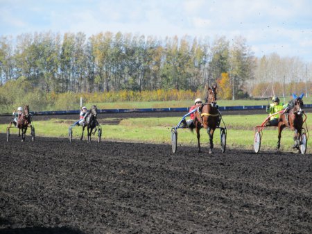 Скачки в грязи: на ипподроме в Петровском соревновались лучшие лошади