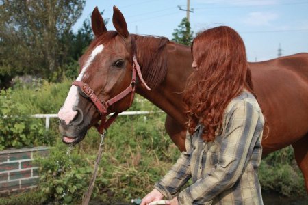 Фото девушки и лошади рыжей масти