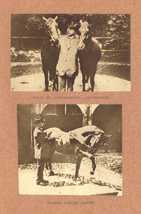 Краль с Царифом и Магометом