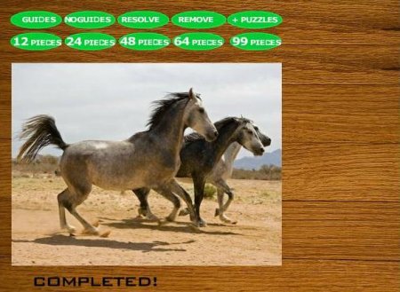 Мозаика скачущие лошади. Онлайн игра про лошадей.