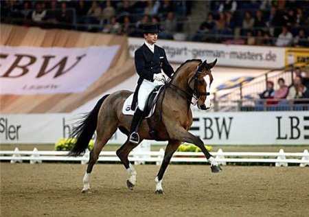 Фото выездки