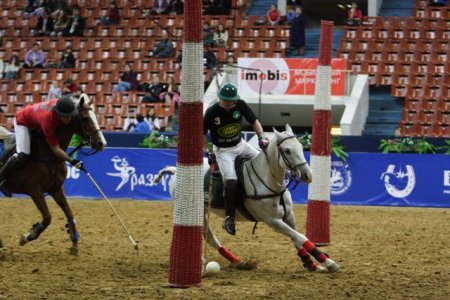 Конное поло