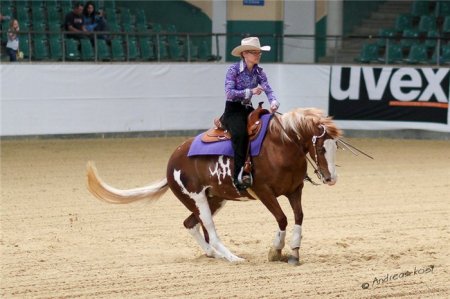 Езда в стиле вестерн