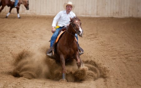 Езда в стиле вестерн