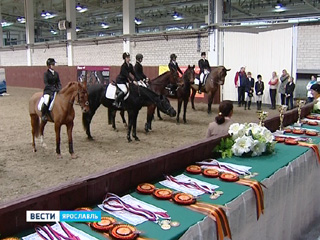 В Ярославле прошли соревнования по конному спорту