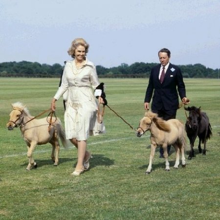 Фото фалабелла