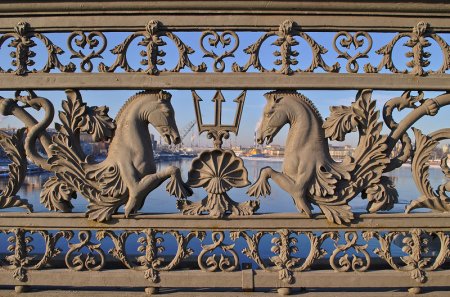 Гиппокампы