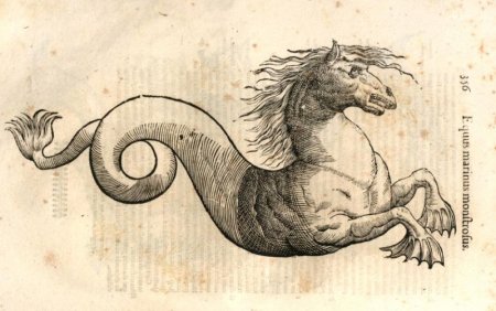 Рисунок гиппокампа