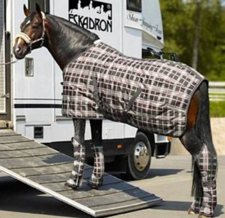 Теплая денниковая попона