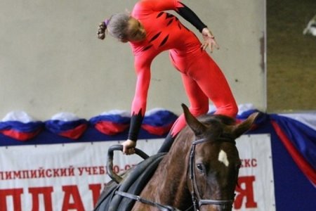 Череповчанка стала чемпионкой России по гимнастике на лошади