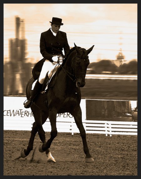 Фото лошади в сборе