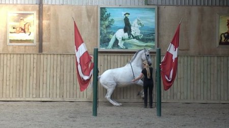 Левада. Один из самых сложных элементов