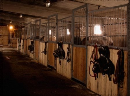 Фото конюшни