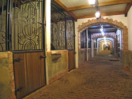 Фото конюшни