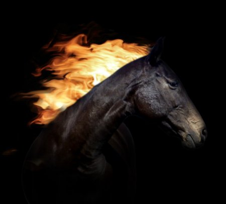Горящая грива