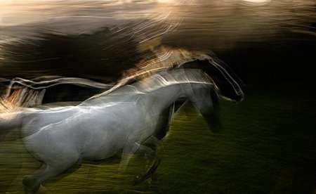 Голограмма