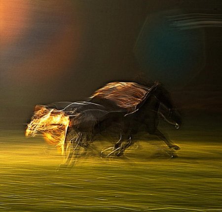 Исчезающая голограмма