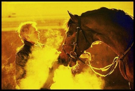 Фото лошади и человека