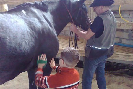В Волгограде детей-инвалидов лишают возможности заниматься с лошадьми