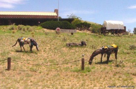 Пасутся железные кони...