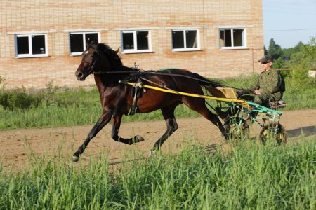 Занятия на беговой дорожке