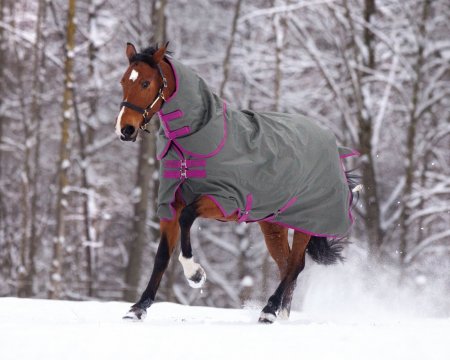 Фото гнедой лошади в попоне зимой