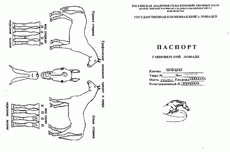 Паспорт лошади