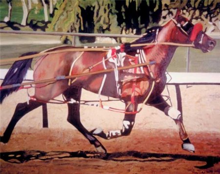 Гнедой иноходец