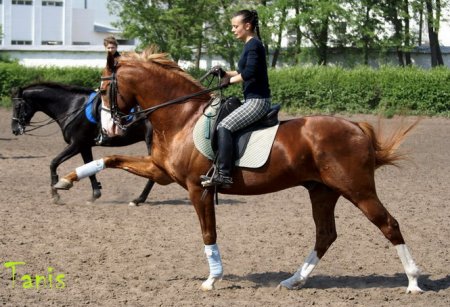 Испанский шаг