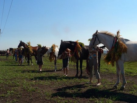 День лошади