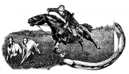 Комаров А.Н.