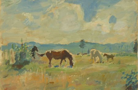 Лошади на лугу