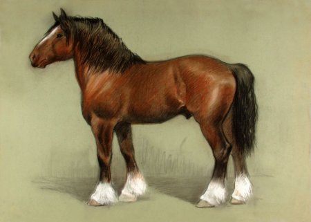 Владимирский тяжеловоз