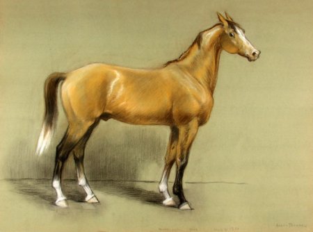 Ахалтекинец