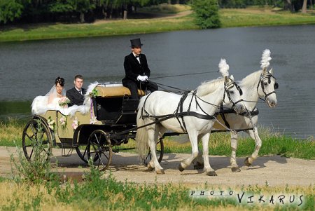 Карета, запряженная парой лошадей