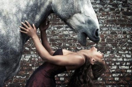 Фото серой лошади и девушки