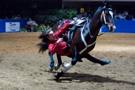 Человек делает трюки на лошади