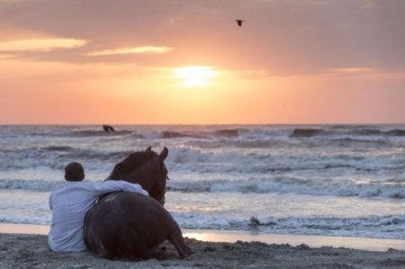 Парень и лошадь на берегу на закате